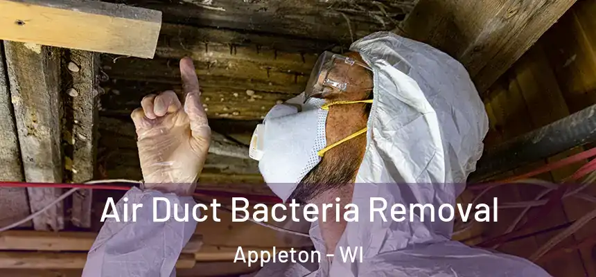 Air Duct Bacteria Removal Appleton - WI