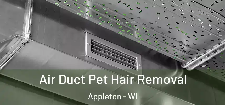 Air Duct Pet Hair Removal Appleton - WI