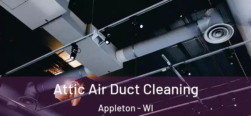 Attic Air Duct Cleaning Appleton - WI