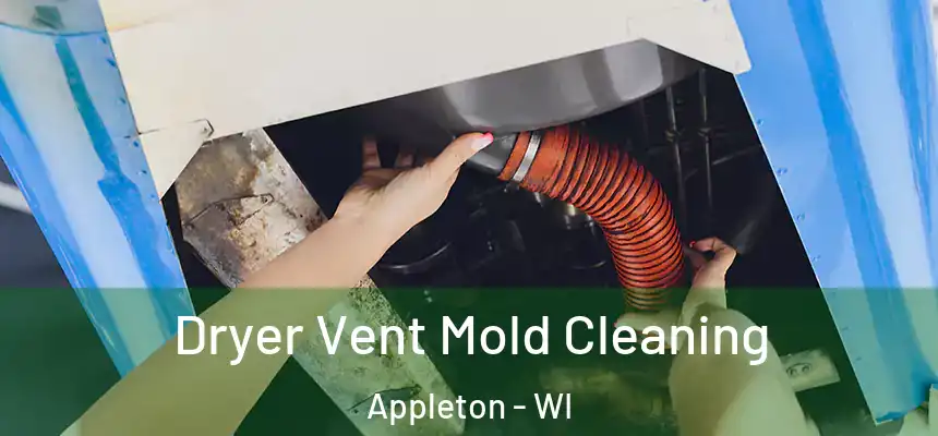 Dryer Vent Mold Cleaning Appleton - WI