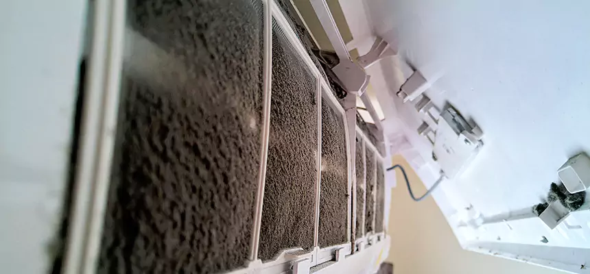 Preventive Air Duct Bacteria Removal in Appleton