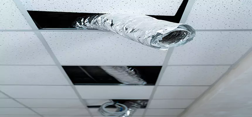 Our Air Duct Pet Hair Removal Services in Appleton, WI