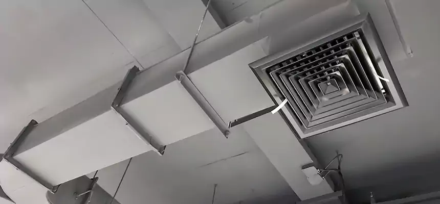 Restorative Allergy Relief Vent Cleaning – Coil, Blower & Housing Detail in Appleton