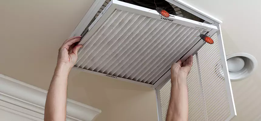 Our Insect Removal from Air Ducts Services in Appleton, WI