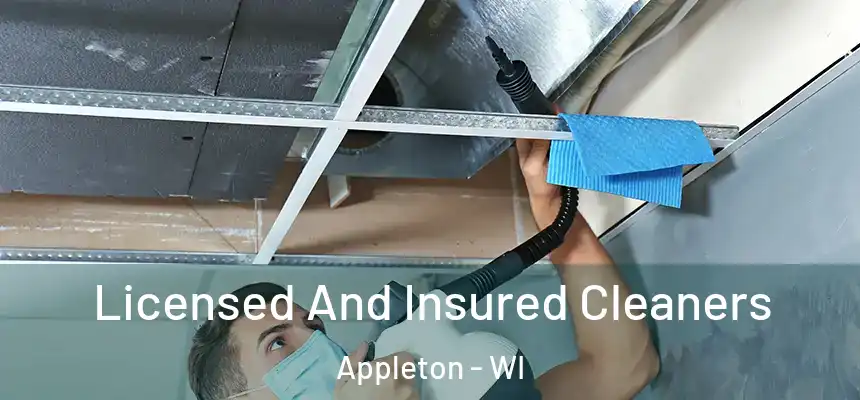 Licensed And Insured Cleaners Appleton - WI