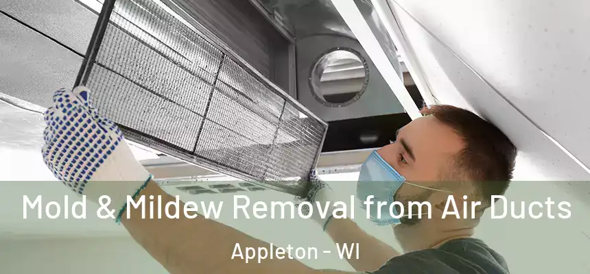 Mold & Mildew Removal from Air Ducts Appleton - WI