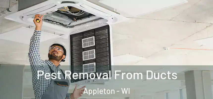Pest Removal From Ducts Appleton - WI