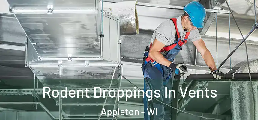  Rodent Droppings In Vents Appleton - WI
