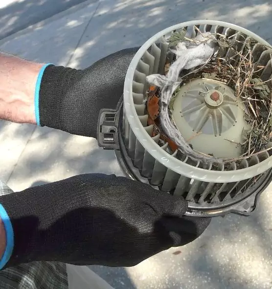 About Air Duct Mice Removal in Appleton, WI