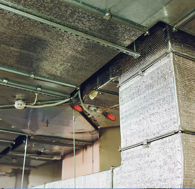 Why Homeowners & Businesses Trust Us in Appleton, WI?