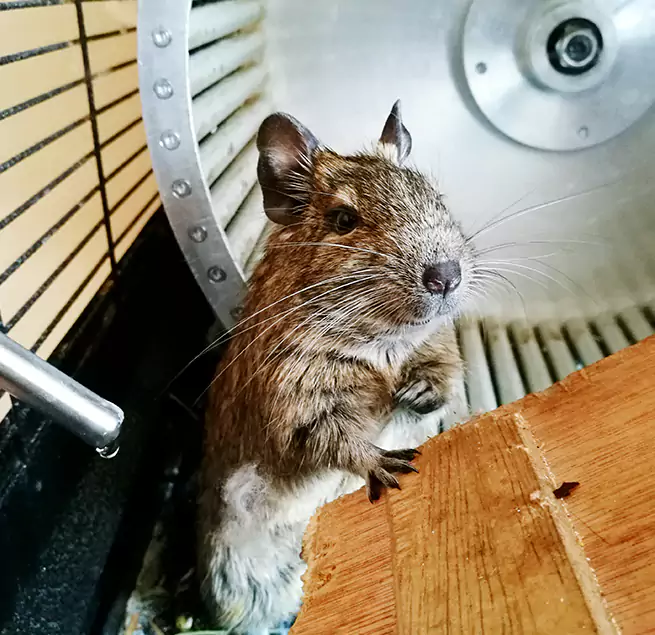 Why Homeowners & Businesses Trust Us Appleton, WI